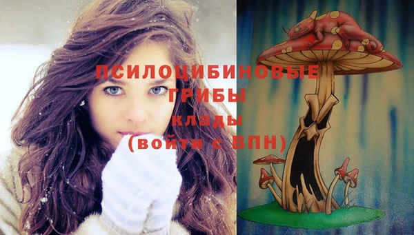 экстази Саяногорск