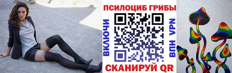 OMG сайт  Бобров  Псилоцибиновые грибы Magic Shrooms 